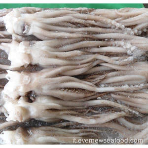 Testa di calamaro fresco congelato a base di pesce naturale di alta qualità